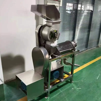 Fruit- en groentepers, sapcentrifuge, roestvrij staal, koude pers, spiraalpers, hoge productiviteit, commerciële motor, fruitverwerkingsinstallatie