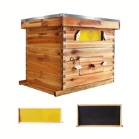 Ruche en bois à 10 cadres, équipement d'apiculture, ruches en bois, ruche à abeilles, cadre de ruche en bois enduit de cire
