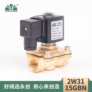 Válvula de Agua de Diafragma de Accionamiento Directo Yongchuang 2W31, Fabricante Líder en Tratamiento de Agua, Ganadería y Protección Contra Incendios - Product Image 5