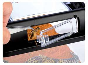 Vente de gros Cages pour Reptile Terrarium - Product Image 5