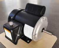 Moteur monophasé NEMA WAYLEAD 0,75 CV, cadre 56, TEFC, 115/230 V, 60 Hz, montage sur pied, 1750 tr/min, asynchrone AC, efficacité IE2
