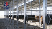 Bâtiment Métallique Moderne Préfabriqué en Acier Léger pour Porcherie, Poulailler, Écurie, Abri pour Chèvres, Grange, Ferme Avicole - Durée de Vie 50 Ans