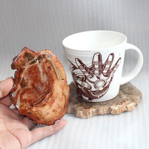 <span class=keywords><strong>Cristalli</strong></span> Curativi in Legno Fossile Naturale, <span class=keywords><strong>Pietre</strong></span> <span class=keywords><strong>Curative</strong></span>, Quarzo in Legno Fossile - Product Image 6