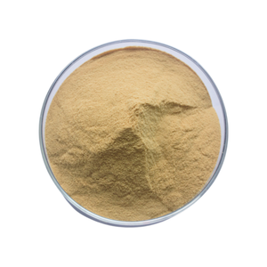 Toptan yüksek kaliteli istiridye tozu istiridye et doğal saf istiridye et tozu - Product Image 2