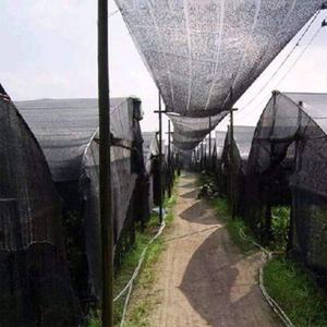 Blue Ocean Large Eco-Friendly Greenhouse Shading Net Hdpe Shades Shade Sails Outdoor Advertising Sail Banners for vegetable use - Product Image 6