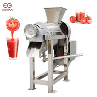 Gelgoog Koudgeperste Litchi Lychee Sapmachine Commerciële Kersen Baobab Amla Sapmachine