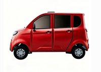 Mini SUV, nouvelle énergie, voiture électrique à batterie, petit véhicule, homologué EEC COC