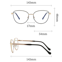 Monture de lunettes optiques œil-de-chat en acétate et métal, design de marque 2026, pour femmes, personnalisable