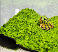 Tapis de terrarium réutilisable en ABS écologique pour reptiles, substrat de lit pour tortues, tapis pour cages d'animaux - Lézards barbus