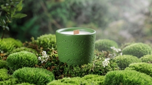 Wholesale Natural Soy Wax Vanilla Scented Candles for Home Decor Soy Vanilla Scented Candle - Product Image 3