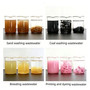 Granulés de polyacrylamide cationique PAM, pureté 100%, produits chimiques pour le traitement des eaux usées, 25 kg/sac - Product Image 4