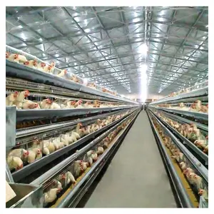 Equipamento de fazenda tipo EPDM para galinhas, gaiola tipo A de material de longa vida útil