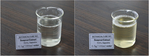 B.c.i cung cấp phân hủy sinh học thảo mộc soapnut chiết xuất <span class=keywords><strong>sapindus</strong></span> mukorossi trái cây chiết xuất bột <span class=keywords><strong>sapindus</strong></span> saponin 70% - Product Image 4