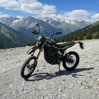 Moto électrique tout-terrain de course homologuée route, modèle Surron Ultra Bee 74V 24.5KW, taille standard, durable, qualité supérieure 2026