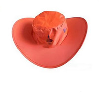 Chapeau pliable en Nylon et Polyester avec Logo personnalisé, bonnet de Cowboy impression, pochette pour le soleil