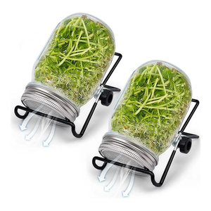 Venta caliente 16oz Vacío Boca Ancha Mason Seed Broting Jar Kit 2 Sprouter Glass Mason Jars con tapas <span class=keywords><strong>de</strong></span> pantalla Soportes y bandejas - Product Image 2
