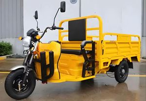 Premium Adult Cargo Electric Tricycle for Wholesale Distribution - Product Image 3