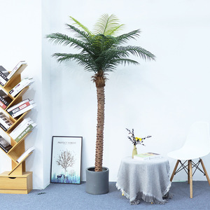<span class=keywords><strong>Vendita</strong></span> diretta in fabbrica per interni grandi <span class=keywords><strong>bonsai</strong></span> di palma verde - Product Image 3