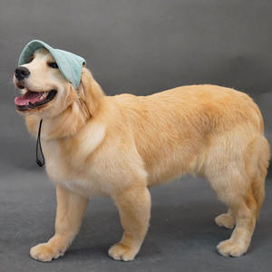 Gorras de Béisbol para Perros y Gatos, de Pana, con Logotipo Personalizable, Multicolores, para Todas las Estaciones, Modernas y Populares, para Fiestas al Aire Libre, Venta al Por Mayor - Product Image 2