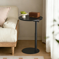 Table d'appoint réglable en PVC pour canapé, table d'angle moderne et élégante, petite table basse de salon, style luxe léger et créatif
