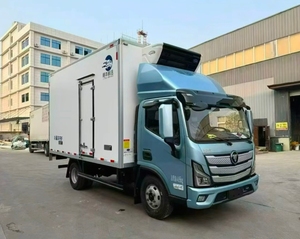Camion frigorifique Foton pour la livraison de poulet congelé, camion frigorifique multi-usages 4x2 pour la livraison de nourriture en Amérique centrale - Product Image 6
