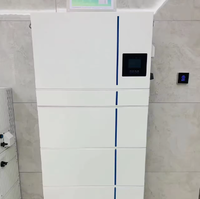 Deye Ess Ai-w5.1-b 100ah Batterie Lifepo4 de stockage d'énergie solaire domestique avec certificat
