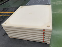 Automatische nieuwe roestvrijstalen filterpersplaat en frameplaat met 380V voor wijnstempeling