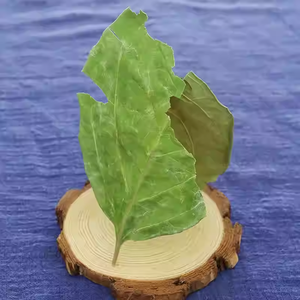 Daun Kesemek Kering Harga Pabrik Shi Zi Ye, Daun Teh Herbal Cina, Daun Kesemek Kering