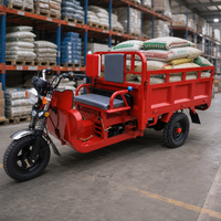 Tricycle cargo à essence 3 roues avec caisse en acier, moteur à essence, longue autonomie pour la livraison en ferme et au marché