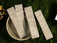 Carrelage en porcelaine 60x250mm, texture pierre de lave, style brique réfractaire, alternative au carrelage métro, facile à poser soi-même, pour villas, écoles et design de fermes