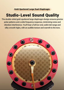 Ensemble de microphone à condensateur professionnel TAKSTAR CM500, multi-directionnel, tube, XLR, métal, plastique, pour l'enregistrement vocal et de chœur - Product Image 5