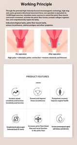 Masajeador de Cápsula Espacial con Terapia Magnética y Vibrador para Masaje Corporal Completo, con Entrega a Domicilio Disponible - Product Image 6