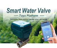 Vanne de détection de fuite d'eau WIFI Vanne d'eau intelligente Arrêt automatique Acier inoxydable Laiton BSP NPT Vanne de régulation de débit motorisée