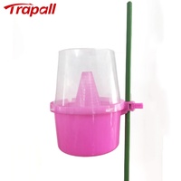 Piège à mouches des fruits en plastique transparent rose pour l'extérieur, avec phéromone, à suspendre, pour toutes les saisons