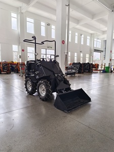 High Quality 5 Ce Epa Chinese <b>Small</b> Mini Sit-on Skid Steer 200kg <b>Wheel</b> - Product Image 2