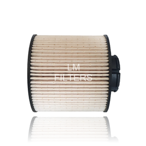 Repuestos de generador Filtro de gasolina 0007983180 07983180 - Product Image 3