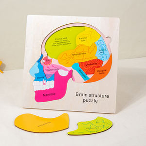 <span class=keywords><strong>Jeu</strong></span> <span class=keywords><strong>de</strong></span> société en bois sur la structure anatomique du cerveau humain, jeux scientifiques, casse-têtes, jeux <span class=keywords><strong>de</strong></span> réflexion et cognitifs - Product Image 5