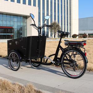 Vélo cargo familial à 3 roues électrique CE, <span class=keywords><strong>transport</strong></span> spécial, trike cargo, chariot à 3 roues, familial, pour enfants - Product Image 2