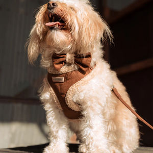 Sherpa baju rompi anjing hangat, baju rompi anjing Musim Dingin, Suede lembut, hangat, dengan gesper pelepasan cepat, nyaman, mewah - Product Image 5