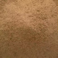 Vente en gros d'épices d'anis étoilé séchées biologiques de qualité chinoise SpicePremium 100 g/sac d'herbes d'épices simples