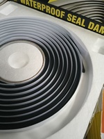 Cinta Adhesiva de Doble Cara de Caucho Butilo Impermeable de Alta Temperatura, Alta Adhesión, Duradera, para Reparación de Fugas en Puertas de Automóviles, Película Adhesiva de Papel