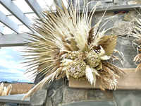 Dekorasi Dinding Rumah Pernikahan Gaya Boho, Daun Palem Jumbo Z-1, Daun Alami Kering, 110CM, Dekorasi Pampas