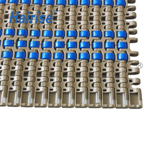 Şişeler için Hairise konveyör plastik modüler bant dişli - Product Image 2