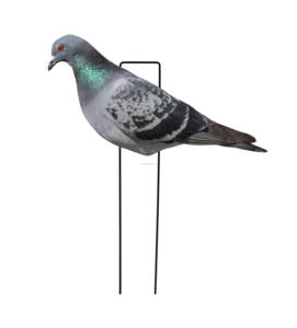 Op Maat Gemaakt Meerdere Waterdichte Plastic Levensechte Anti-Reflecterende Pp Duif Rots Lokvogels Silhouet Lokvogels Jacht Lokvogels - Product Image 6