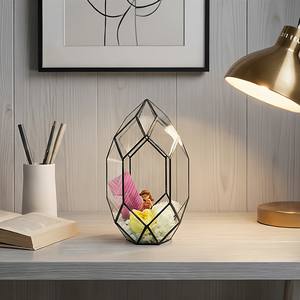 Mini serre créative en verre pour plantes, boîte de propagation pour plantes succulentes, terrarium miniature en <span class=keywords><strong>bouteille</strong></span> pour micro-paysages et mousse - Product Image 4