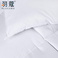 Couette de lit hp en coton, ensemble de couette en microfibre, pour lit double, intérieur, hôtel Queen