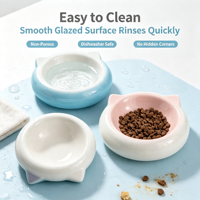 Bol à nourriture pour chien et chat en céramique moderne anti-étouffement ergonomique pour poisson, portable, étanche, utilisation en extérieur