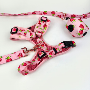 Aksesori Kustom bermotif Set harnes anjing peliharaan terbalik produsen Label pribadi harnes dan tali kucing Perro - Product Image 4