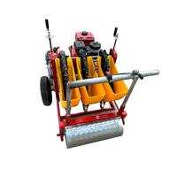 Semoir à ail motorisé multifonctionnel à 2 rangs, poussé à la main, pour la plantation professionnelle d'ail et d'oignon