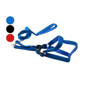 2025年 ホットベストセラー ジェントルリーダー ノープル ナイロン製 犬用首輪とリードセット トレーニング用-ファッショナブルスタイル - Product Image 1